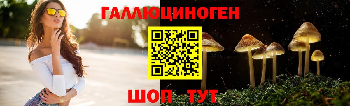 Галлюциногенные грибы MAGIC MUSHROOMS Киселёвск