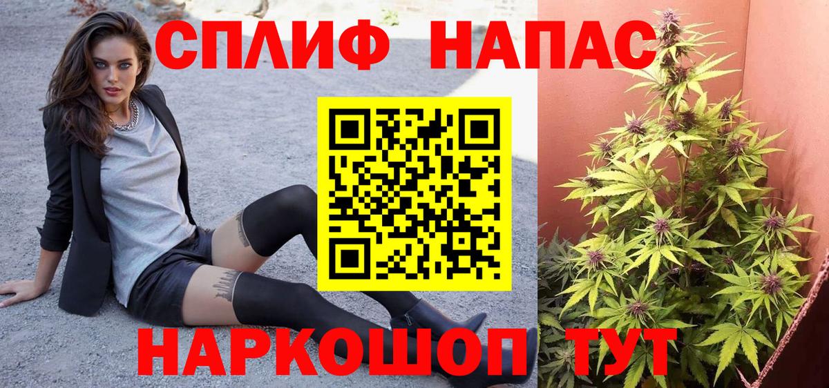 Канабис марихуана  Канабис план  Вход с VPN  Киселёвск  Конопля марихуана  Марихуана White Widow 